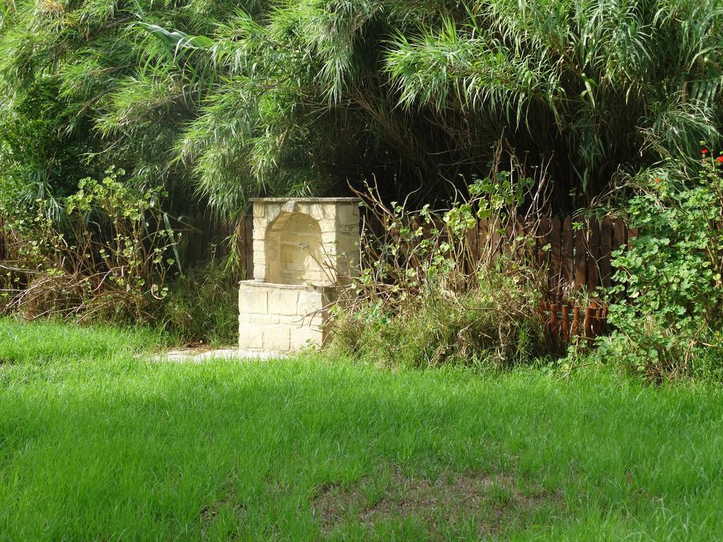 Palm Tree Oriental House And Homestay Polis Esterno foto
