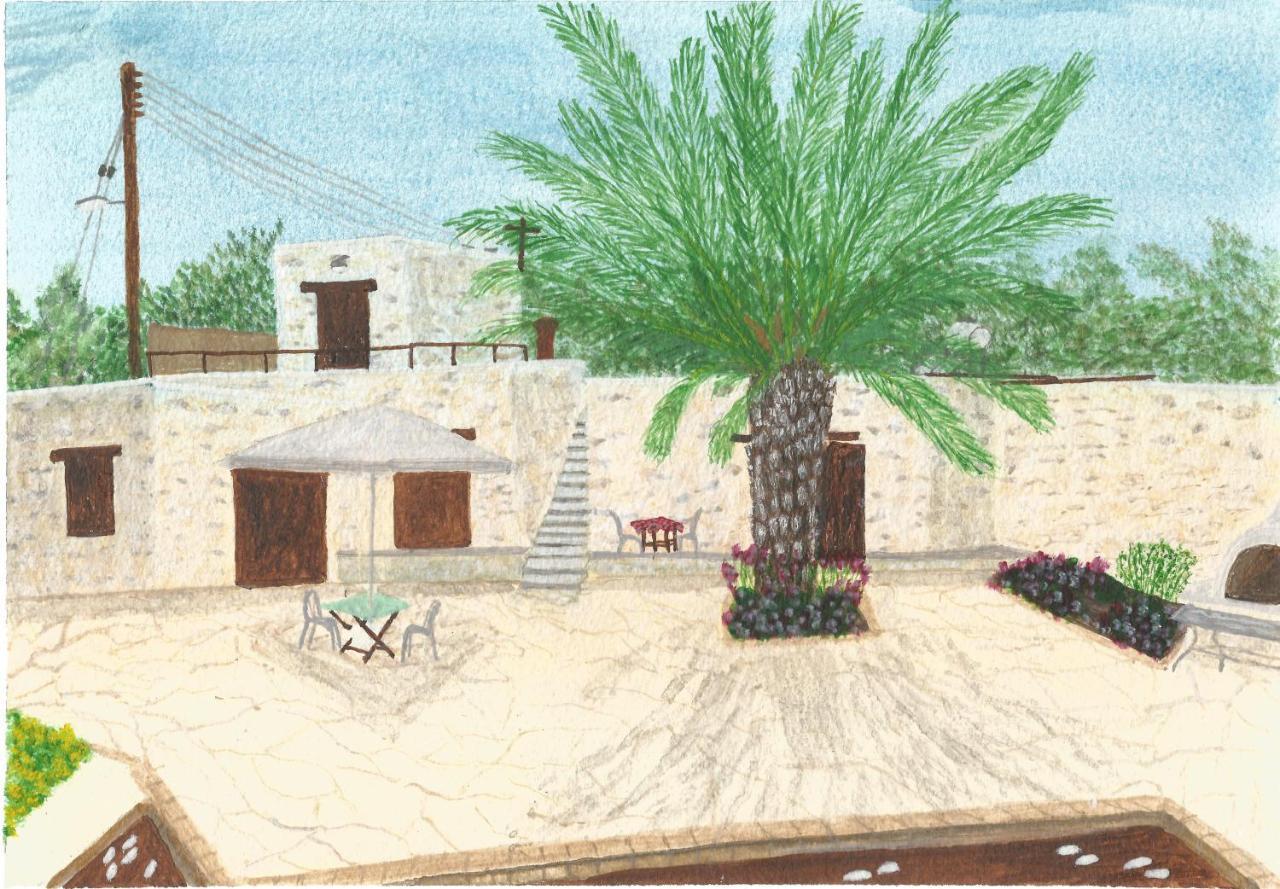 Palm Tree Oriental House And Homestay Polis Esterno foto
